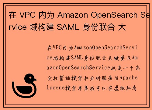 在 VPC 内为 Amazon OpenSearch Service 域构建 SAML 身份联合 大